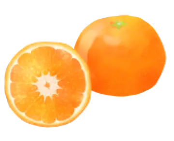 オレンジ色のみかんのイラストです