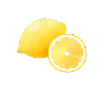 エッセンシャルオイルのイラストです