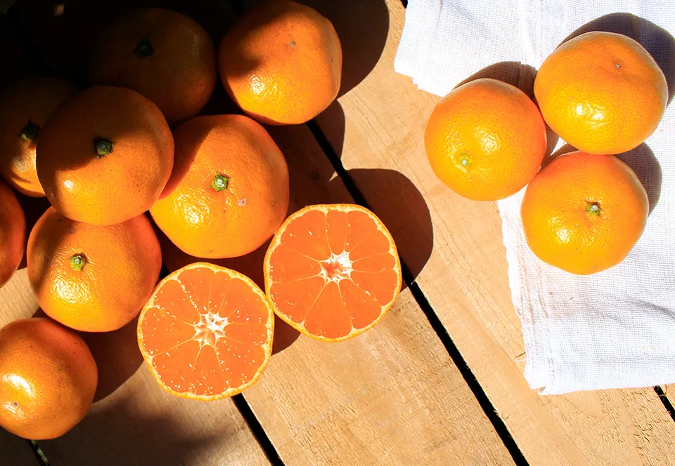 つやのある新鮮なみかんがたくさんあります