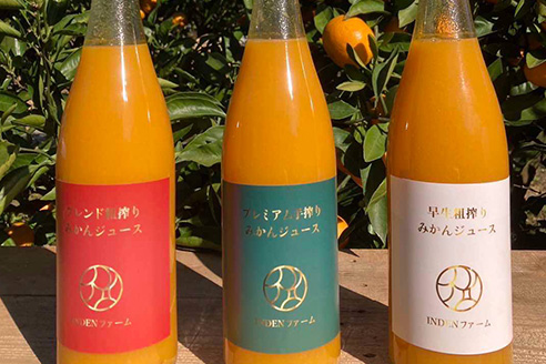 無農薬・無肥料栽培の青みかん5kg