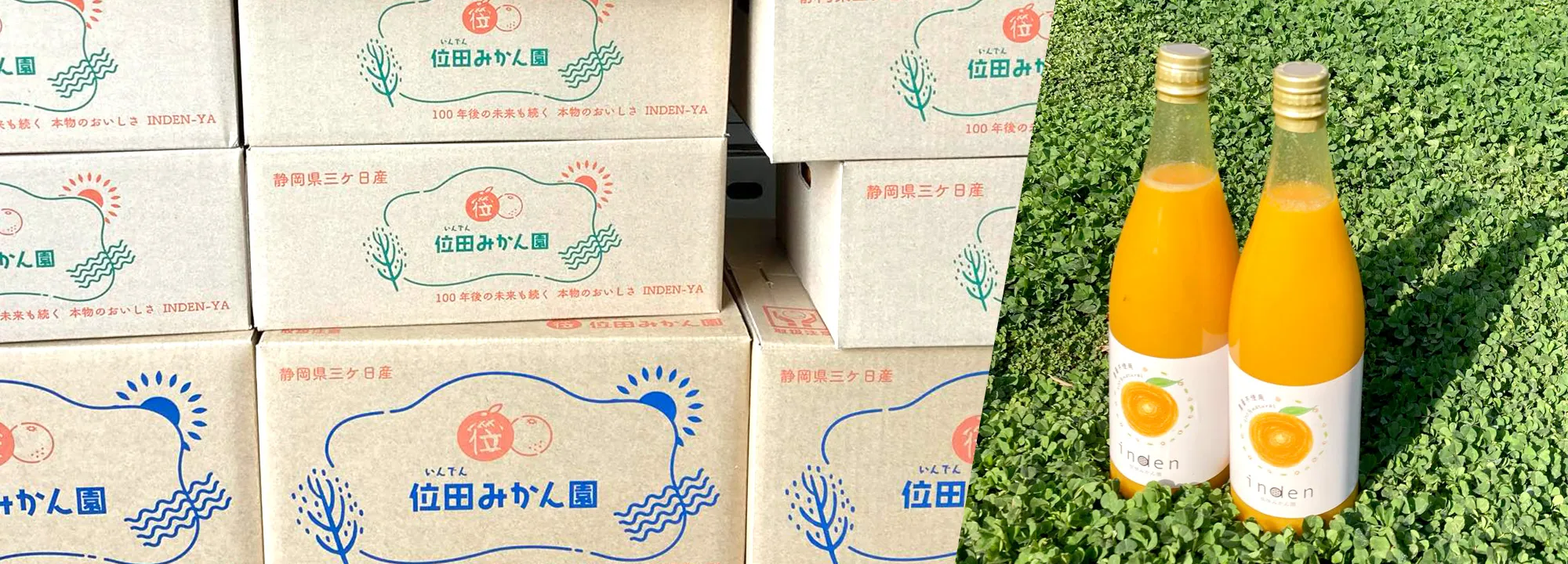 みかんの商品の写真